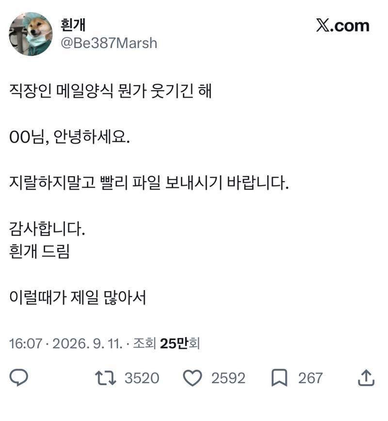 직장인 메일양식 뭔가 웃기긴 해의 내용을 보여주는 이미지