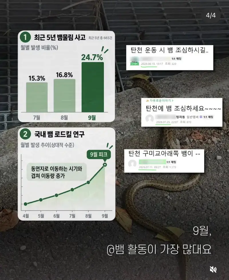 요즘 성남 뱀파티라고 함의 내용을 보여주는 이미지 관련 이미지 3