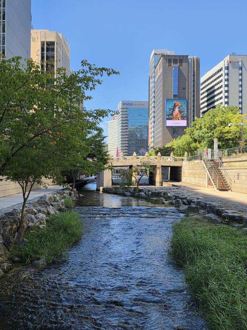 낭만적인 청계천의 내용을 보여주는 이미지 관련 이미지 13