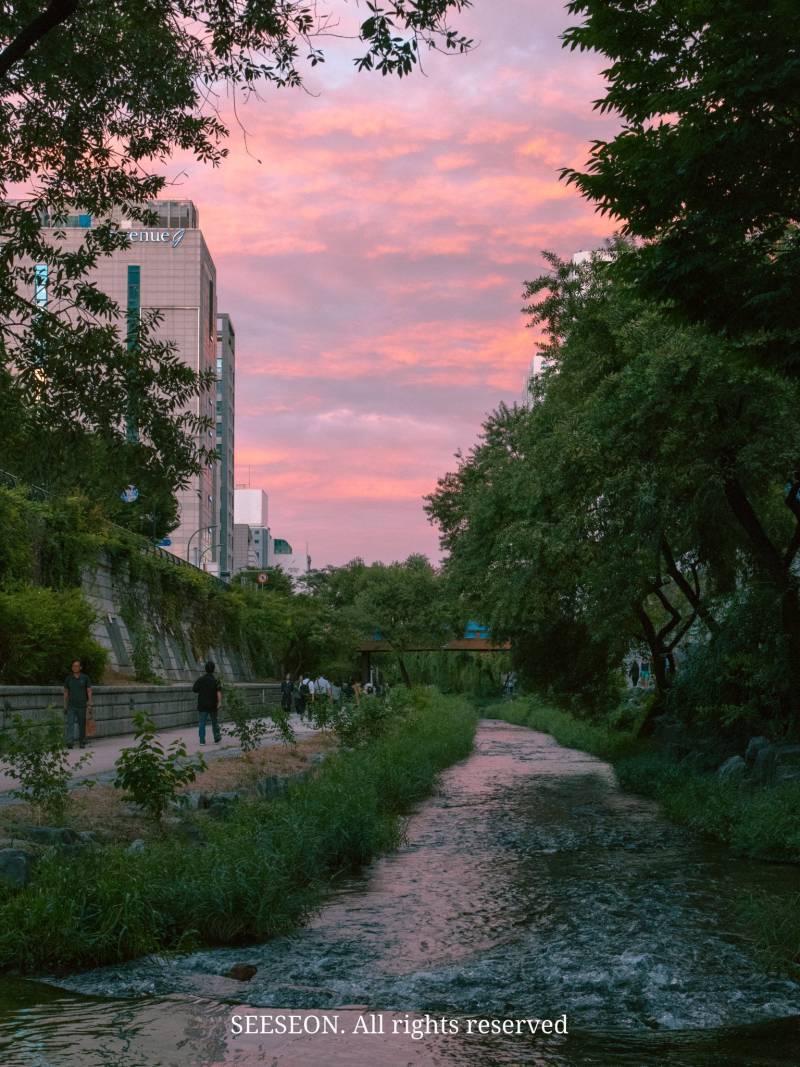 낭만적인 청계천의 내용을 보여주는 이미지 관련 이미지 4