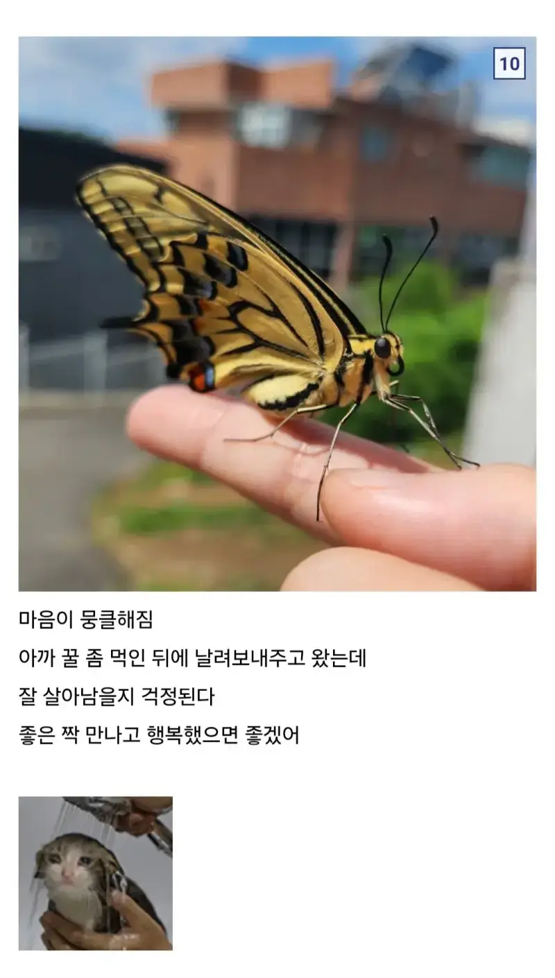 1789275117196177.webp