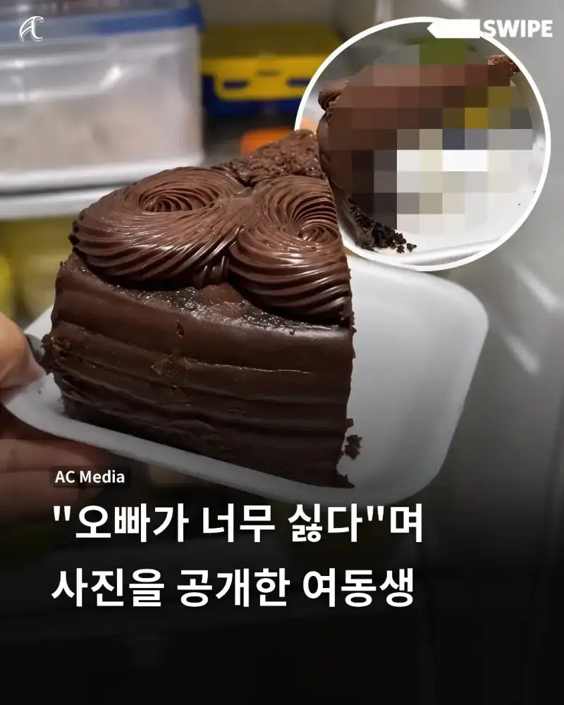 "오빠가 너무 싫다"며 사진을 공개한 여동생의 내용을 보여주는 이미지