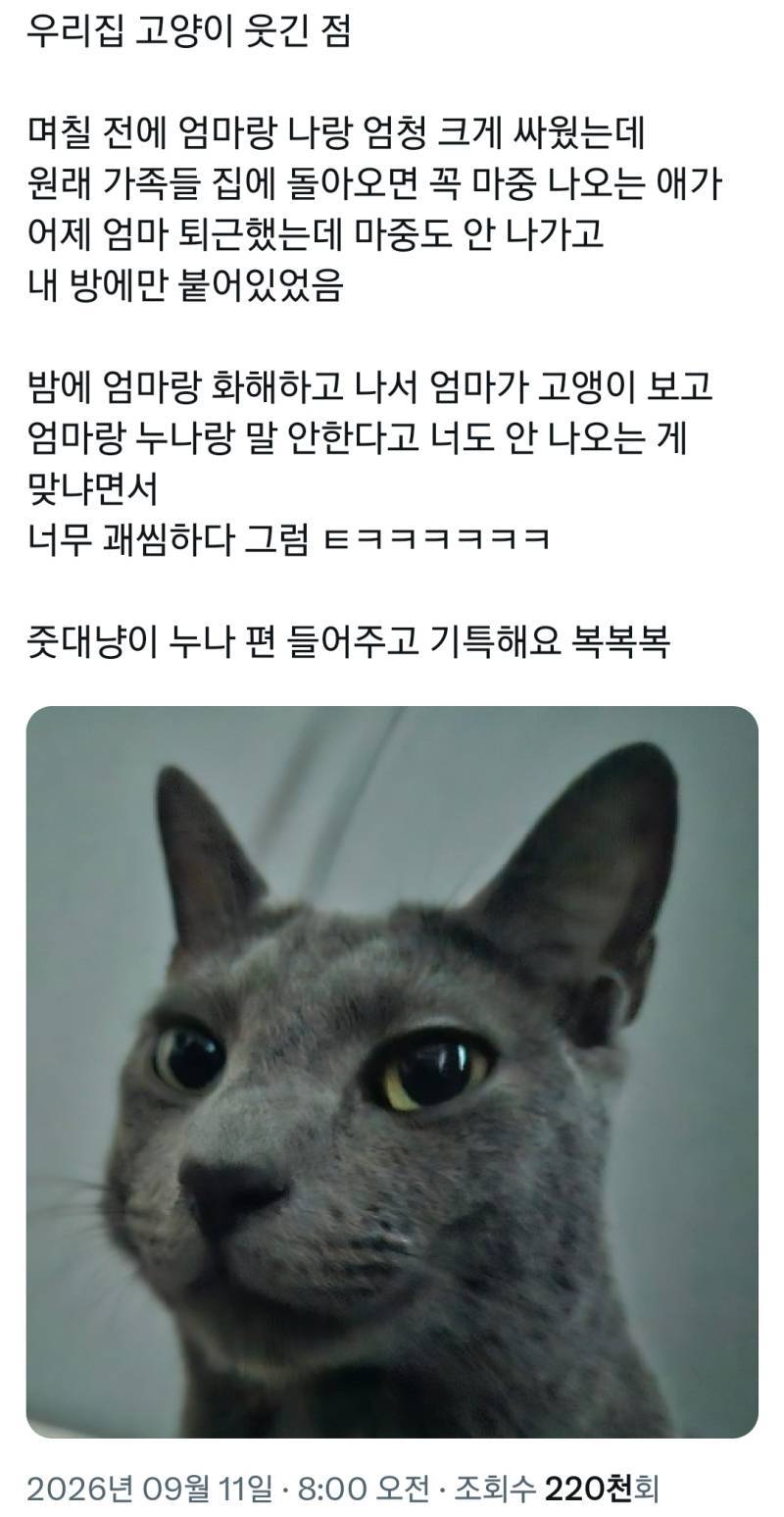 우리집 고양이 웃긴 점의 내용을 보여주는 이미지