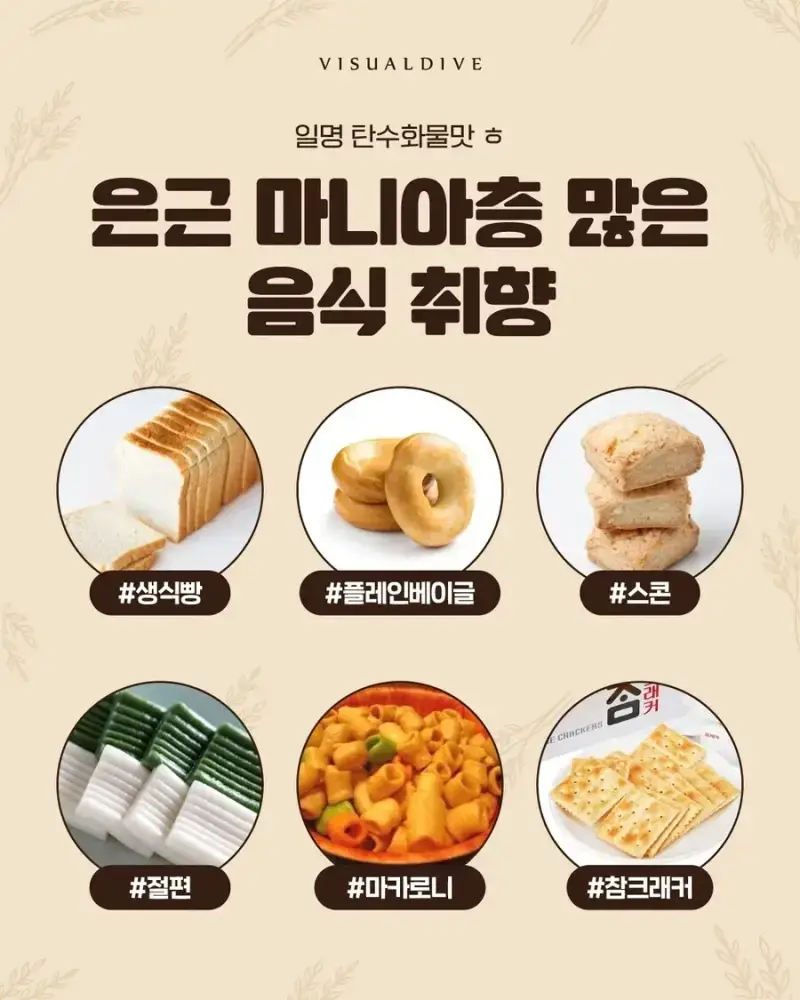 은근 매니아층이 있다는 식품들의 내용을 보여주는 이미지