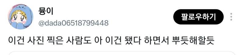 보성씨 입양됐대요의 내용을 보여주는 이미지 관련 이미지 2