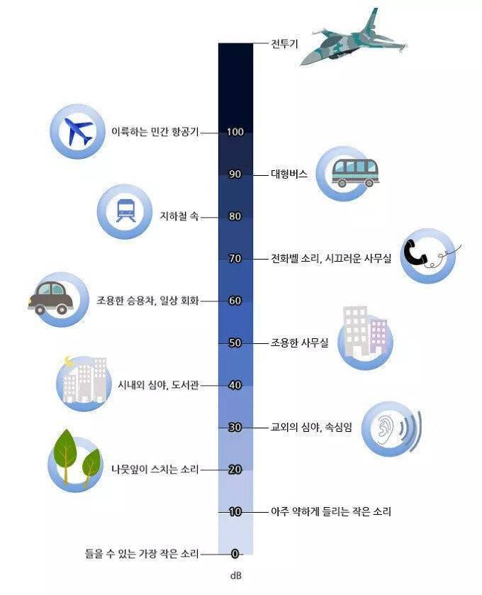 소음순 정리의 내용을 보여주는 이미지