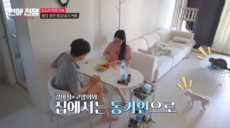 가족회사 들어가면 진짜 안 되는 이유의 내용을 보여주는 이미지
