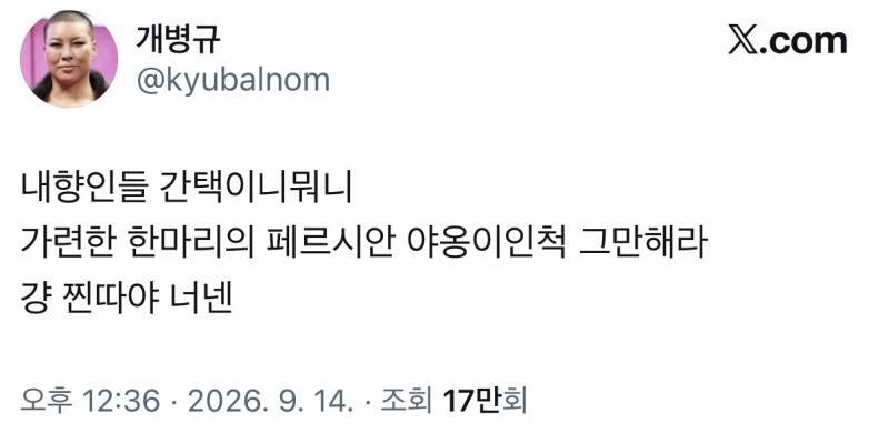 내향인들 간택이니뭐니 가련한 한마리의 페르시안 야옹이인척 그만해라 걍 찐따야 너넨의 내용을 보여주는 이미지