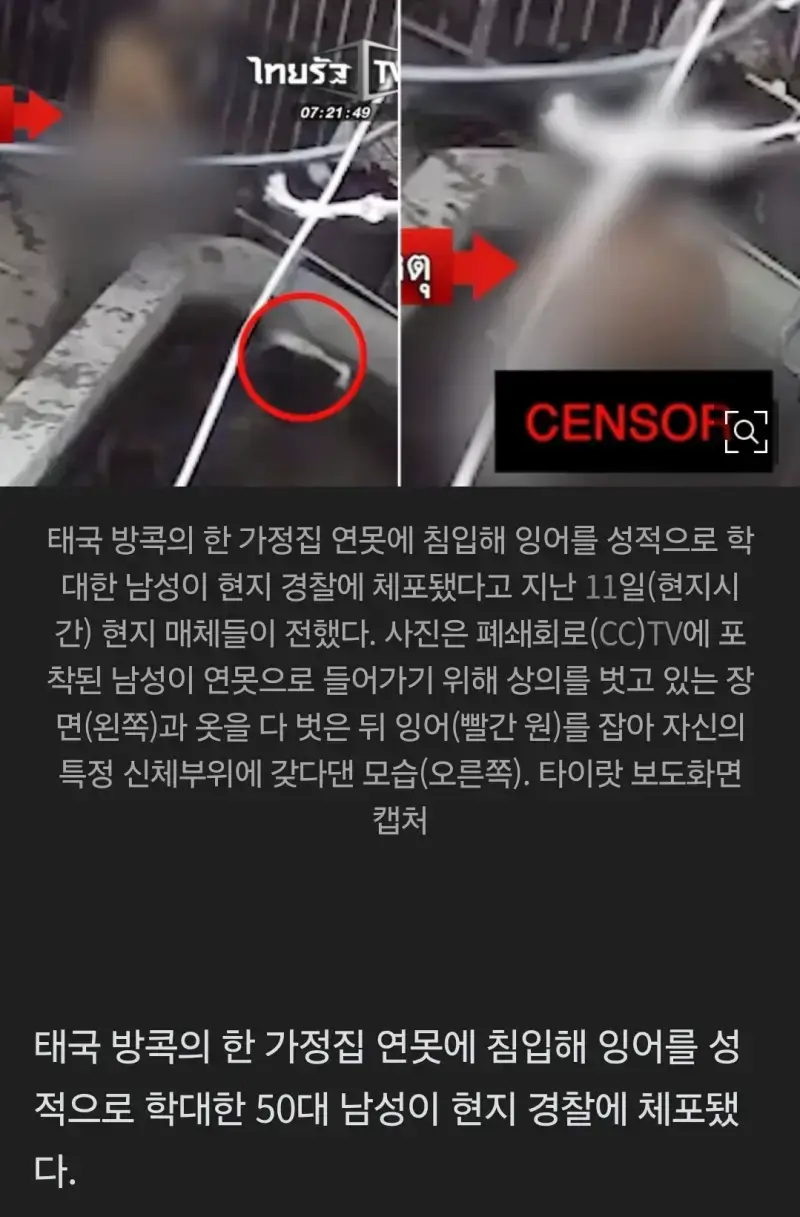 태국에서 벌어진 충격적인 사건의 내용을 보여주는 이미지 관련 이미지 2