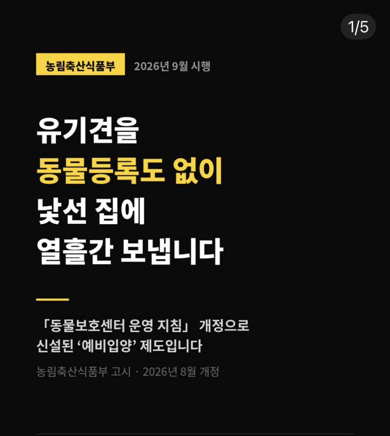 유기견을 동물등록도 없이 낯선 집에 열흘간 보냅니다. (국민청원 동의 부탁드려요!)의 내용을 보여주는 이미지