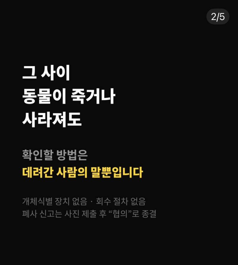 유기견을 동물등록도 없이 낯선 집에 열흘간 보냅니다. (국민청원 동의 부탁드려요!)의 내용을 보여주는 이미지 관련 이미지 2