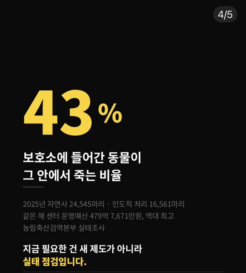 유기견을 동물등록도 없이 낯선 집에 열흘간 보냅니다. (국민청원 동의 부탁드려요!)의 내용을 보여주는 이미지 관련 이미지 4
