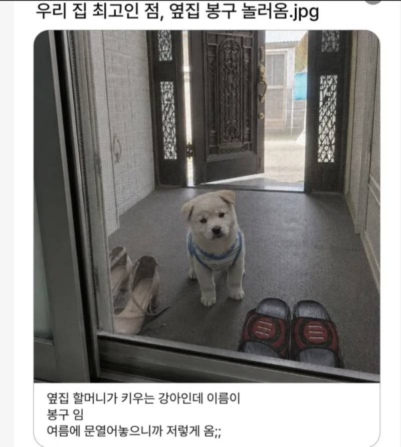우리집보다 좋은집 있음 나와봐의 내용을 보여주는 이미지