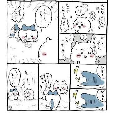 먼작귀에 등장하는 두 마리 고양이들의 내용을 보여주는 이미지 관련 이미지 3