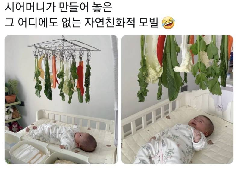 시어머니가 이런걸 만들어주셨다의 내용을 보여주는 이미지