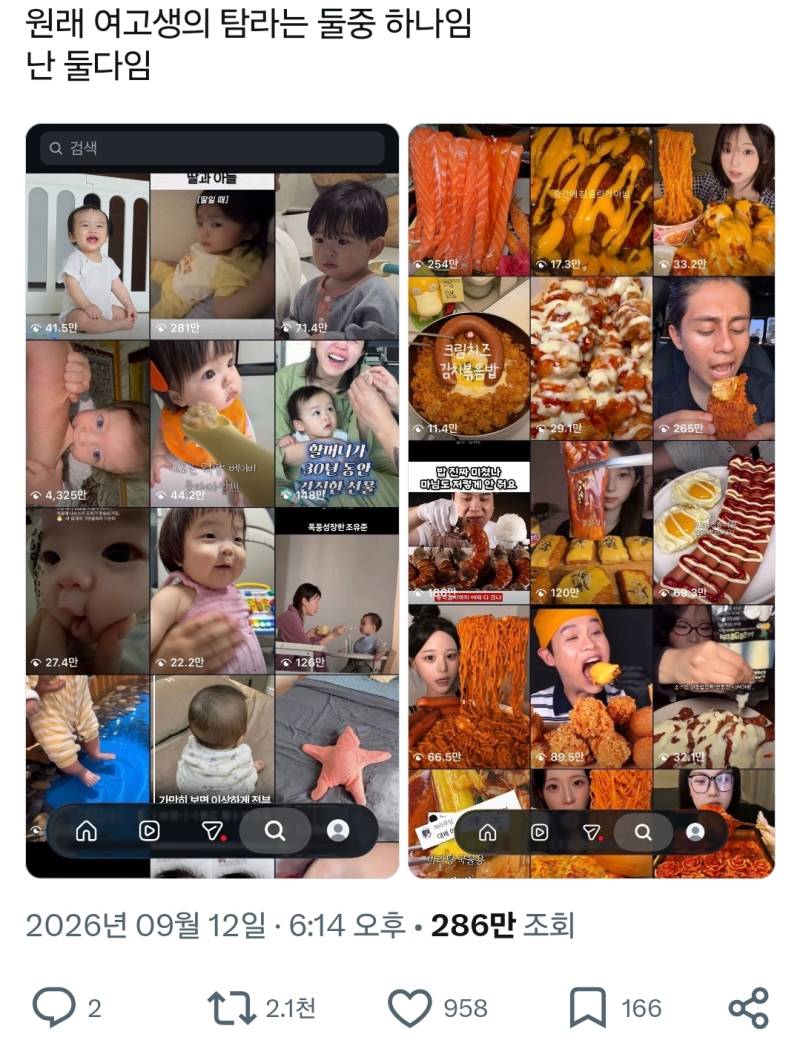 공감터진 요즘 영크크들이 즐기는 컨텐츠 정정글의 내용을 보여주는 이미지