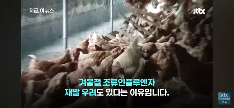 1000037533.jpg 닭값 떨어지니 눈치보는 치킨업계..