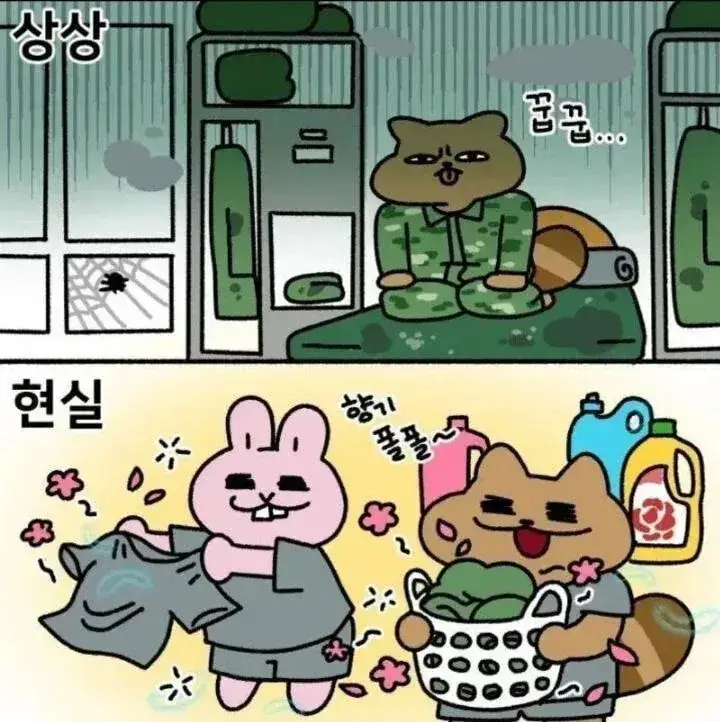 미필들이 흔히 하는 착각의 내용을 보여주는 이미지