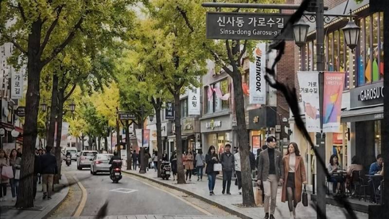 가로수길 리즈 시절이라는데...의 내용을 보여주는 이미지