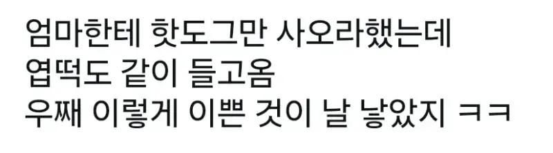 살면서 처음 보는 문장의 내용을 보여주는 이미지