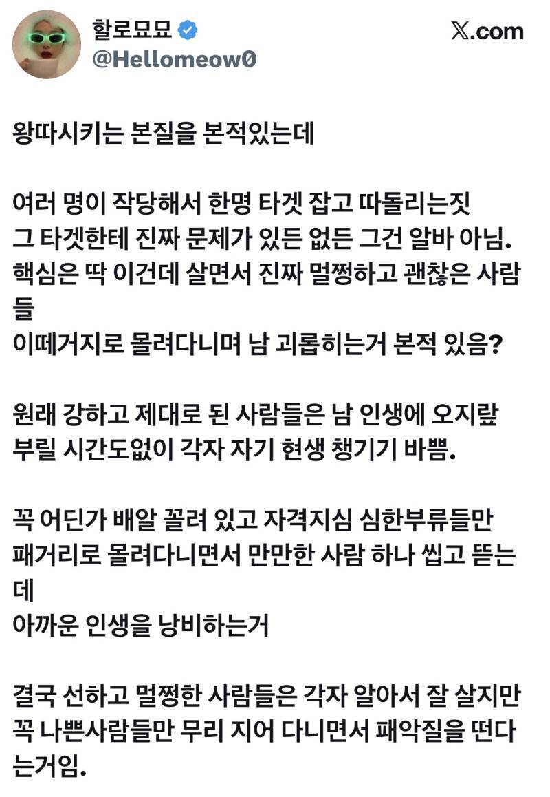 핵심은 딱 이건데 살면서 진짜 멀쩡하고 괜찮은 사람들이 떼거지로 몰려다니며 남 괴롭히는거 본적 있음?의 내용을 보여주는 이미지