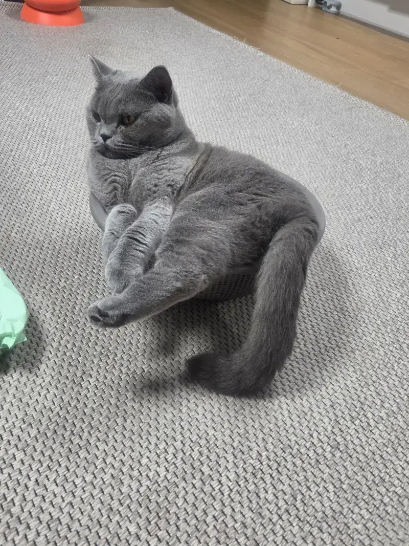 KakaoTalk_20260918_123325437_02.jpg
