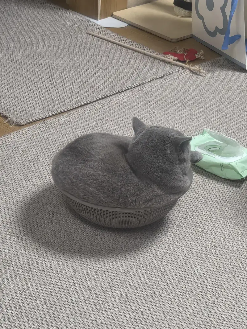 KakaoTalk_20260918_123325437_04.jpg
