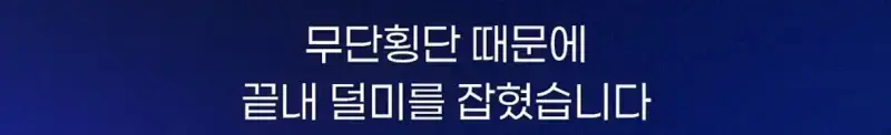 image.png 무단횡단 하는 70대 노인 잡고보니...jpg