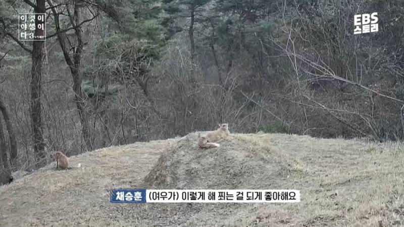 6mwxoJTHi0Qk6y868QI24U.jpg