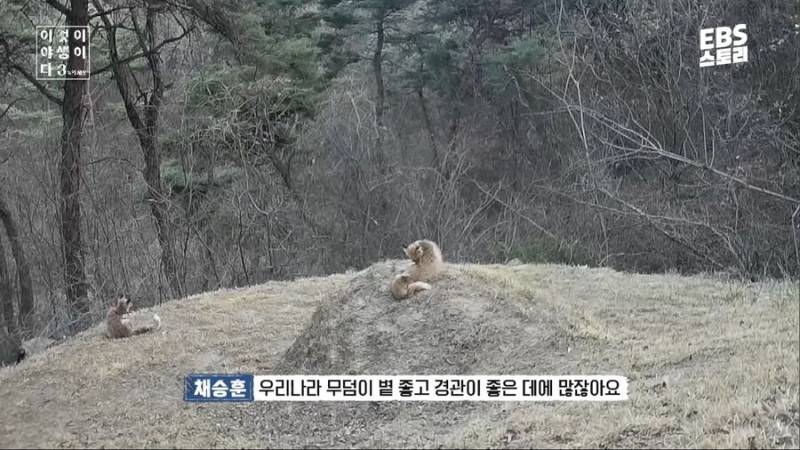 5zjdPeyBHyAQGKQUgywUos.jpg