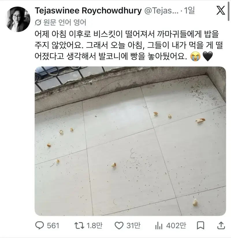 까마귀에게 밥을 주다 멈추면 생기는 일의 내용을 보여주는 이미지