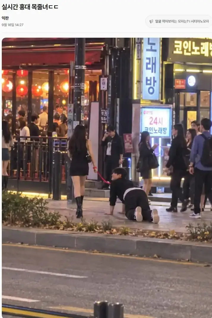 홍대에 뜬 목줄녀 ㄷ�의 내용을 보여주는 이미지