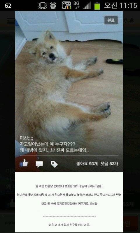 술버릇이 고양이 납치라고 하는 사람의 내용을 보여주는 이미지