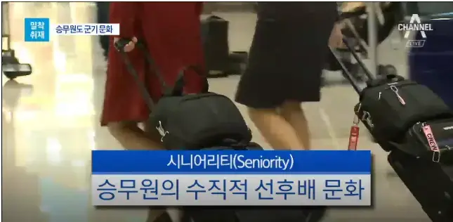 간호 뿐만 아니라 똥군기 엄청 심한 직종 중 하나의 내용을 보여주는 이미지 관련 이미지 2