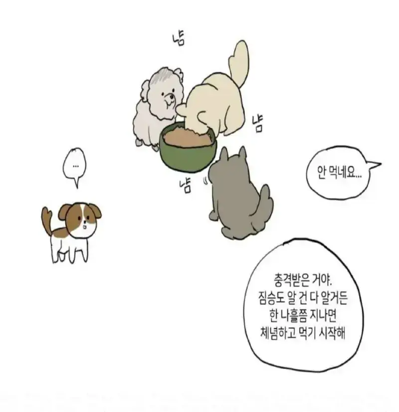 요즘 사람들이 강아지 유기하는 곳의 내용을 보여주는 이미지 관련 이미지 6