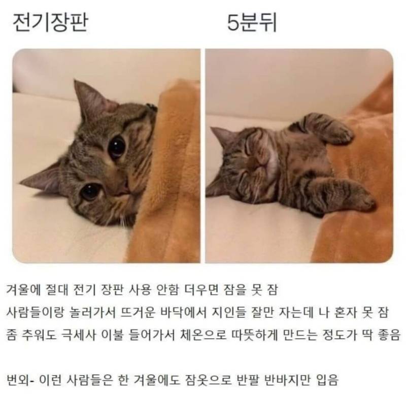 몸에 열많은 사람 특징의 내용을 보여주는 이미지