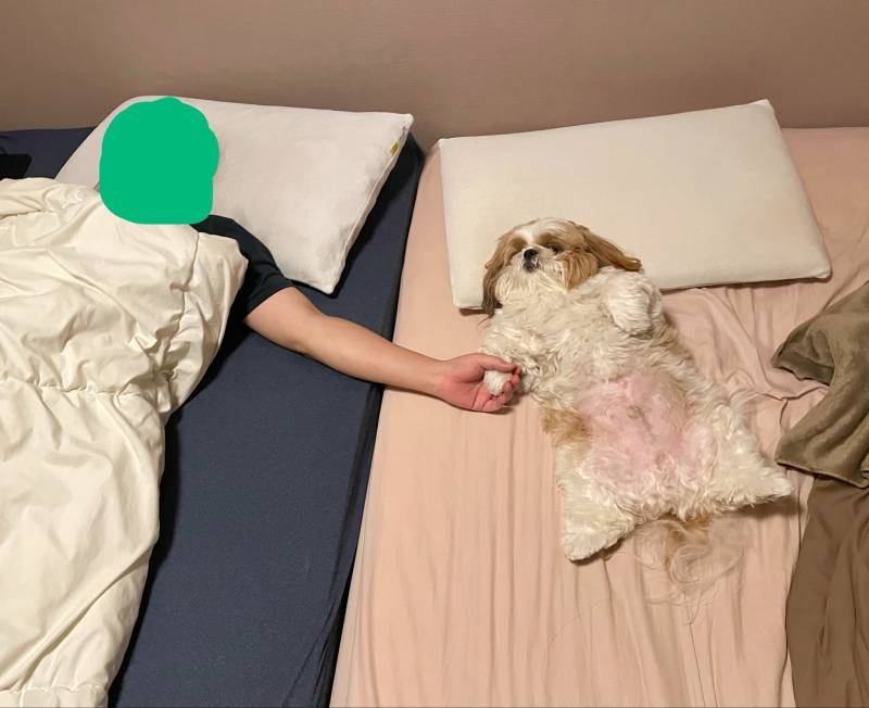 씻고 오니까 이것들이 이러고 있다의 내용을 보여주는 이미지