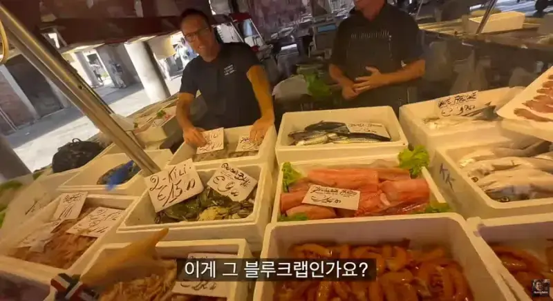 이탈리아 청게(블루크랩) 가격의 내용을 보여주는 이미지 관련 이미지 10