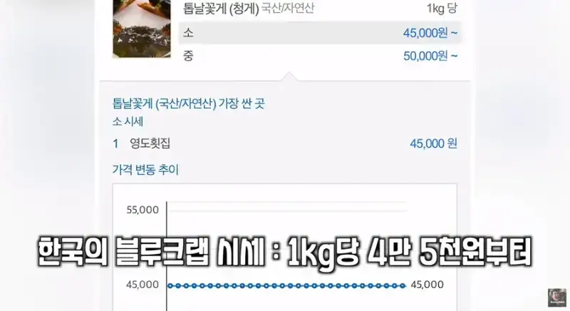 이탈리아 청게(블루크랩) 가격의 내용을 보여주는 이미지 관련 이미지 14