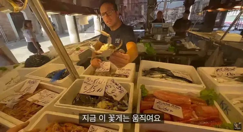 이탈리아 청게(블루크랩) 가격의 내용을 보여주는 이미지 관련 이미지 16