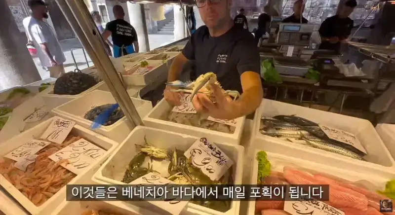 이탈리아 청게(블루크랩) 가격의 내용을 보여주는 이미지 관련 이미지 17