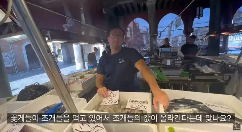 이탈리아 청게(블루크랩) 가격의 내용을 보여주는 이미지 관련 이미지 19