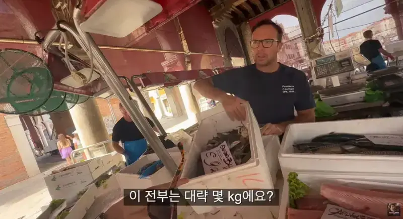 이탈리아 청게(블루크랩) 가격의 내용을 보여주는 이미지 관련 이미지 34