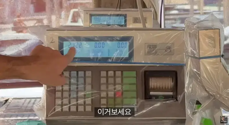 이탈리아 청게(블루크랩) 가격의 내용을 보여주는 이미지 관련 이미지 39