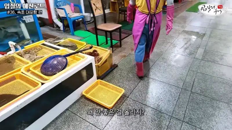 관광지 수산시장에서 _대게 먹고 가라_해서 믿고 맡겼더니(입질의 해산로드 #.36 속초 대포항 편)_20260922_210132.419.jpg