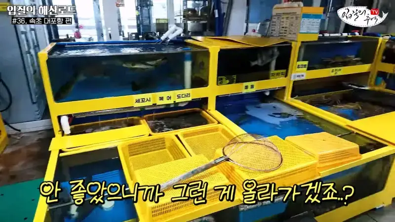 관광지 수산시장에서 _대게 먹고 가라_해서 믿고 맡겼더니(입질의 해산로드 #.36 속초 대포항 편)_20260922_210134.676.jpg