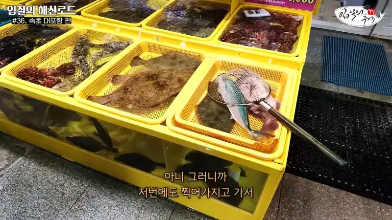 관광지 수산시장에서 _대게 먹고 가라_해서 믿고 맡겼더니(입질의 해산로드 #.36 속초 대포항 편)_20260922_210139.187.jpg