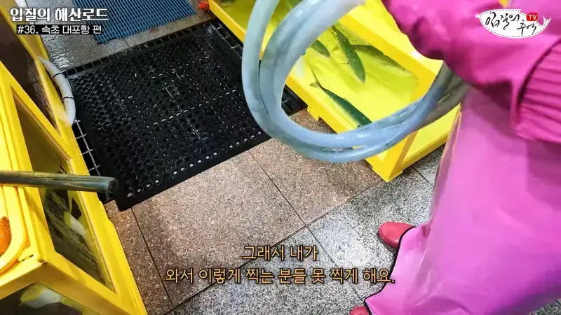 관광지 수산시장에서 _대게 먹고 가라_해서 믿고 맡겼더니(입질의 해산로드 #.36 속초 대포항 편)_20260922_210151.075.jpg