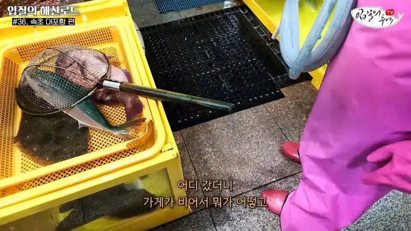 관광지 수산시장에서 _대게 먹고 가라_해서 믿고 맡겼더니(입질의 해산로드 #.36 속초 대포항 편)_20260922_210154.531.jpg