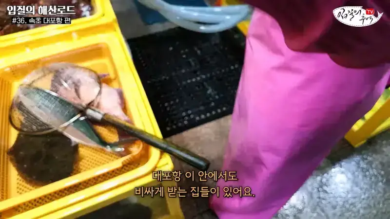 관광지 수산시장에서 _대게 먹고 가라_해서 믿고 맡겼더니(입질의 해산로드 #.36 속초 대포항 편)_20260922_210216.611.jpg